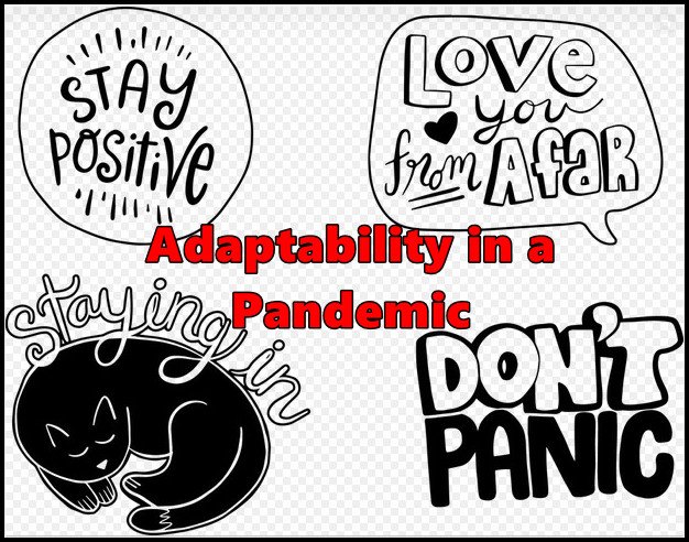 Adaptability in a Pandemic